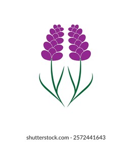 Beautiful lavender flower icon vector illustration