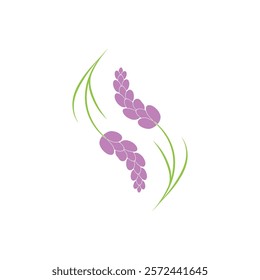 Beautiful lavender flower icon vector illustration