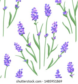 Beautiful Lavender Flower Pattern. Seamless Background. Vector.