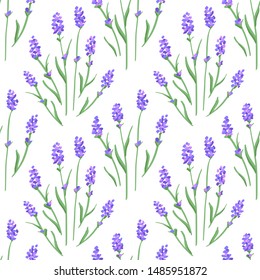 Beautiful Lavender Flower Pattern. Seamless Background. Vector.