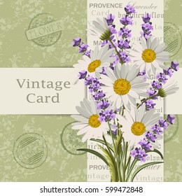 Beautiful lavender flowers and daisies for invitation card. Vintage postcard background. Vector illustration.