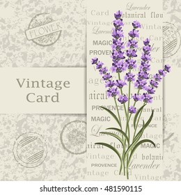 Beautiful lavender flowers for invitation card. Vintage postcard background. Vector illustration.