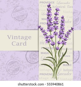 Beautiful lavender flowers for invitation card. Vintage postcard background. Vector illustration.