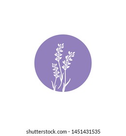 Beautiful Lavender Icon Vector Illustration