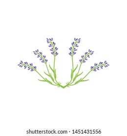 Beautiful lavender icon vector illustration