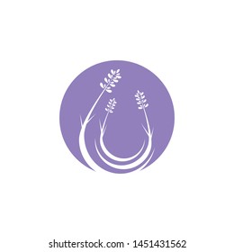 Beautiful lavender icon vector illustration