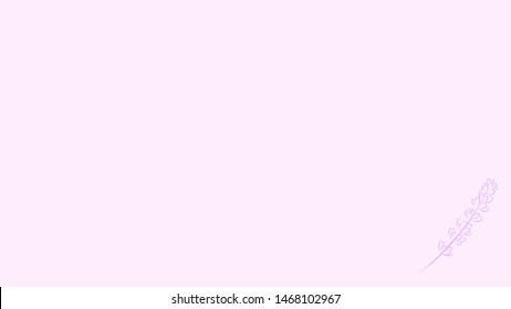 Beautiful lavender on a pink background.