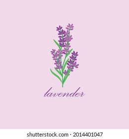 hermoso vector lavanda útil para cualquier cosa