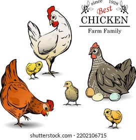 beautiful layout of an advertising poster for a family farming business. Chickens, chickens, eggs and an inscription.