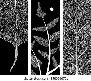 Beautiful leaf backgrounds. Black and white vein elegant botanical illustration. Minimalism style. Black and white vintage modern object