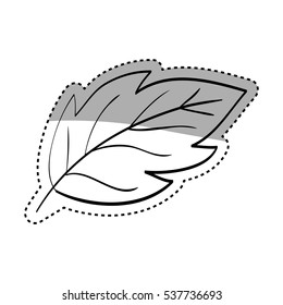 Beautiful leaf in black and white icon vector illustration graphic design