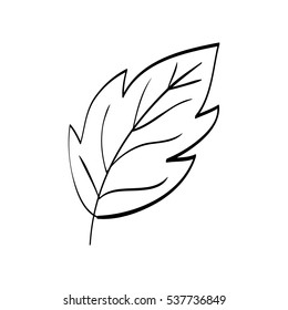 Beautiful leaf in black and white icon vector illustration graphic design