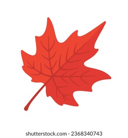 Beautiful leaf composition. Leaves change color in autumn