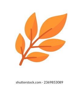 Beautiful leaf composition. Leaves change color in autumn