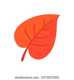 Beautiful leaf composition. Leaves change color in autumn