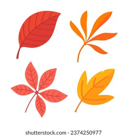 Beautiful leaf composition. Leaves change color in autumn