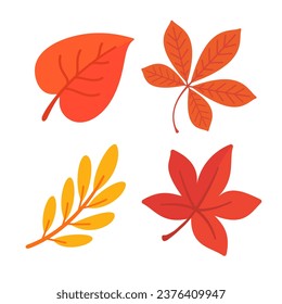 Beautiful leaf composition. Leaves change color in autumn