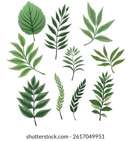 Beautiful Leaf Design Element Set