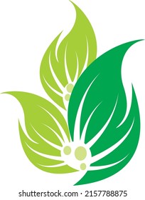 beautiful leaf design motif consisting of three interconnected stalks