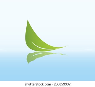 Beautiful Leaf Drop on Water