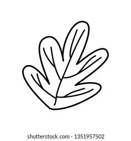 beautiful leaf ecology icon