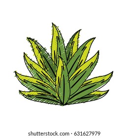 beautiful leaf of the exotic plants in the forest