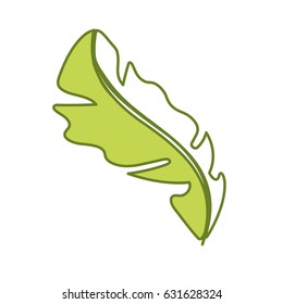 beautiful leaf of the exotic plants in the forest