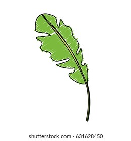 beautiful leaf of the exotic plants in the forest