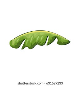 beautiful leaf of the exotic plants in the forest
