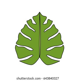 beautiful leaf of the exotic plants in the forest