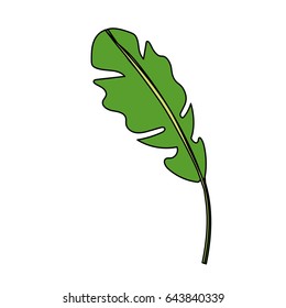 beautiful leaf of the exotic plants in the forest