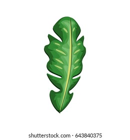 beautiful leaf of the exotic plants in the forest