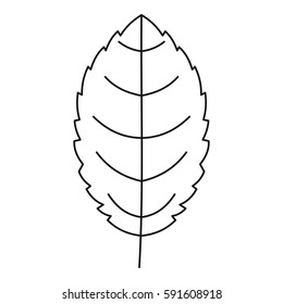 Beautiful leaf icon. Outline illustration of beautiful leaf vector icon for web