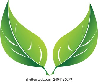 Schöne Blattbildform, Vektorgrafik