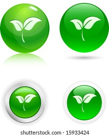Beautiful leaf icons. Vector illustration.