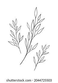 Bella línea de arte de hoja dibujando sobre fondo blanco