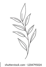 beautiful leaf plant icon