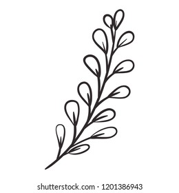 beautiful leaf plant isolated icon