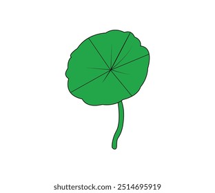 Beautiful Leaf Plant Vector illustration