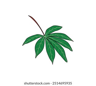 Beautiful Leaf Plant Vector illustration