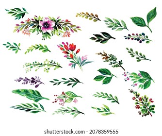 Beautiful leaf set watercolor design
