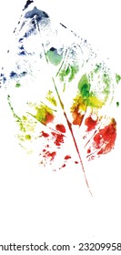 beautiful leaf of a tree in  cold colors painted watercolors imprint 