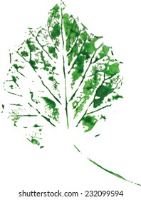 beautiful leaf of a tree in  cold colors painted watercolors imprint 