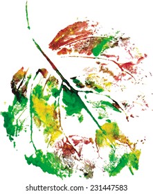  beautiful leaf of a tree  painted watercolors imprint on gray