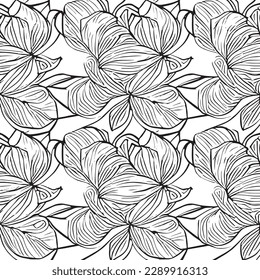 a beautiful leaf vector ornament drawing