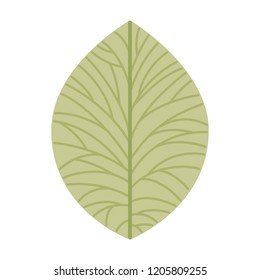 beautiful leafs isolated icon