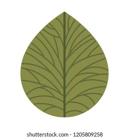 beautiful leafs isolated icon