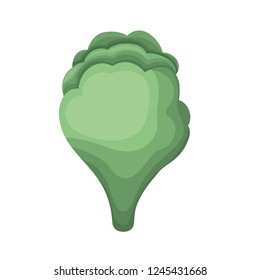 beautiful leafs isolated icon