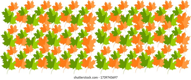 beautiful leafs pattern background vector illustration