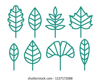 Beautiful Leave Set. Simple Vector.